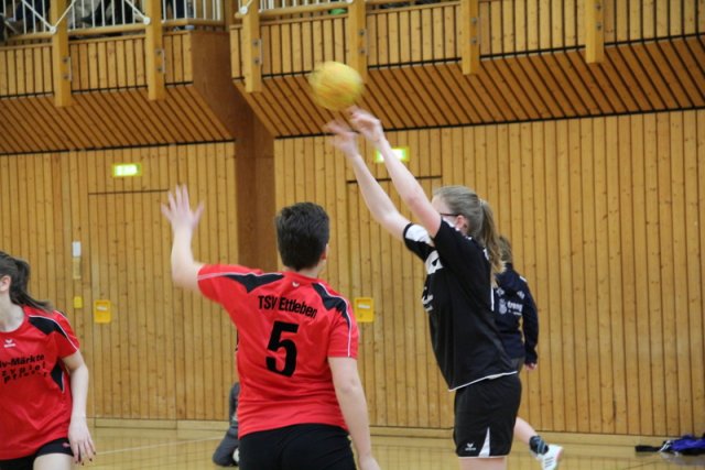 2016_02_14 Landesliga Jugend 19